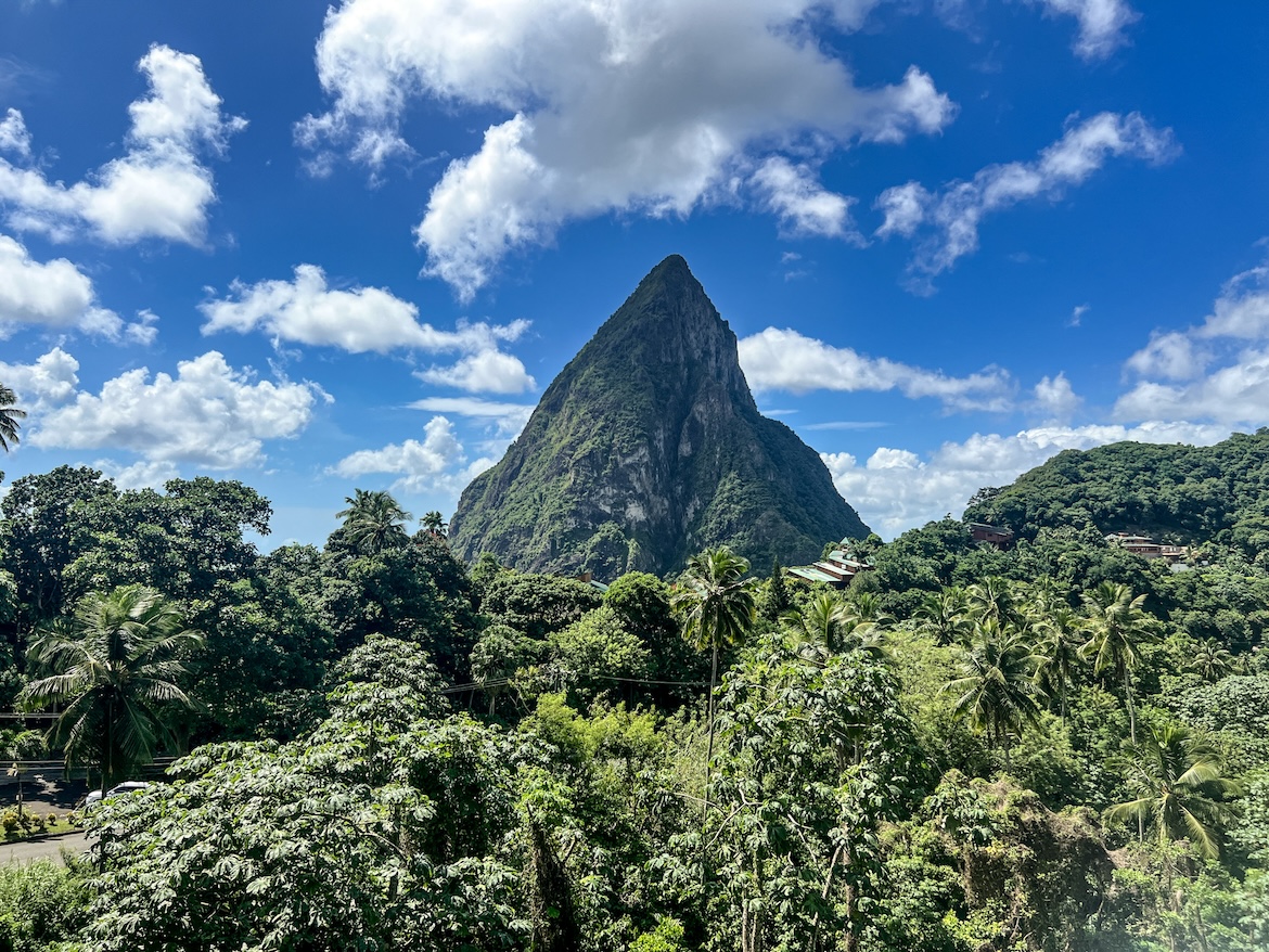 Piton Regenwald Ladera Saint Lucia Karibik